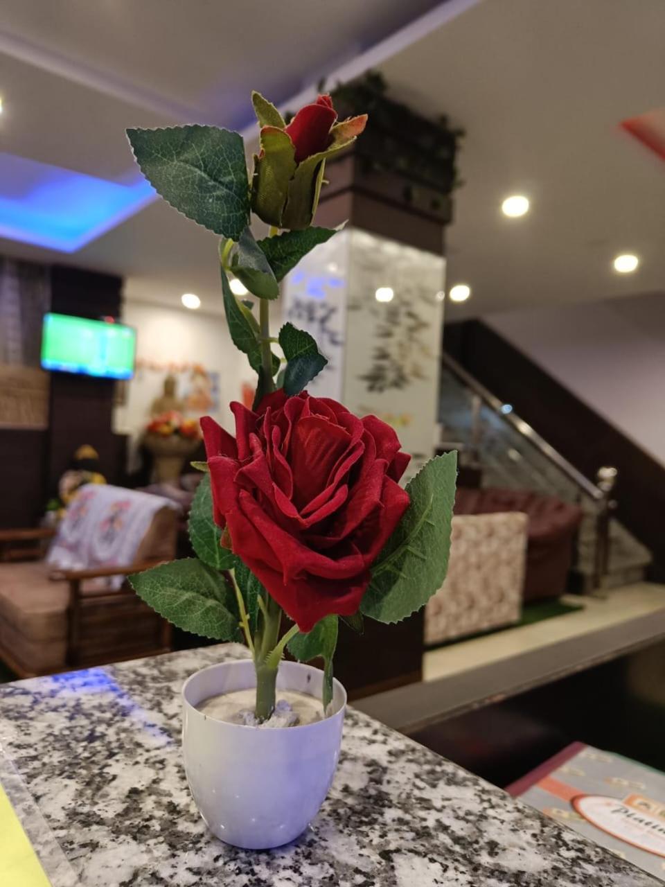 King Castle Mcleodganj-Centrally Heated And Air Cooled- Near Mall Road - Free Parking 达兰萨拉 外观 照片